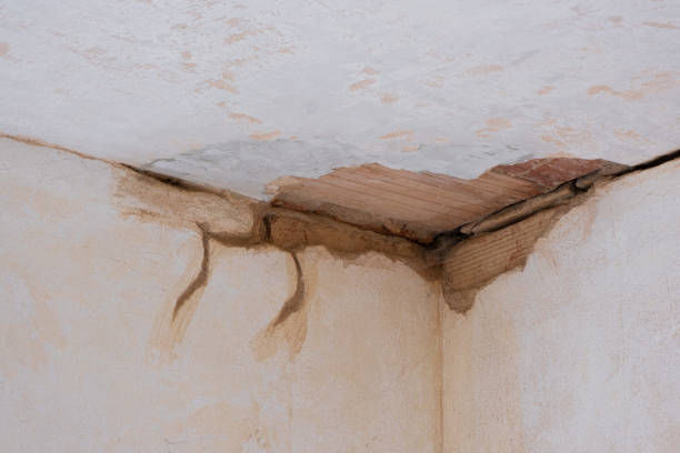 Best 24/7 water damage repair  in Highland Park, MI