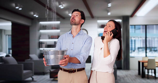 Best Ceiling water damage repair  in Highland Park, MI